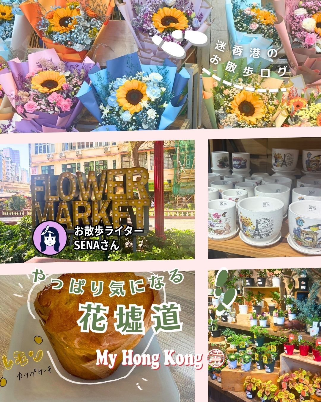 🌸こんにちは！ワーホリで香港に来たSENAです✨ 
今回は太子駅から歩いて花墟道（フラワーマーケットロード）へおさんぽしました🚶‍♀️ 
通りいっぱいのお花に囲まれて、クリスマスシーズンの特別な雰囲気も楽しめました🎄 

https://my-hkg.com/osanpo-log-4-flower-market-mongkok/

#HongKong #香港 #MyHongKong #迷香港 #香港ライフ #花墟道 #フラワーマーケットロード #太子駅 #香港カフェ #HayFever #レモンカップケーキ #ココナッツデニッシュ #竣誠鮮花 #BrightenMall #花瓶 #香港旅行 #街歩き #クリスマス #癒し時間 #香港散歩