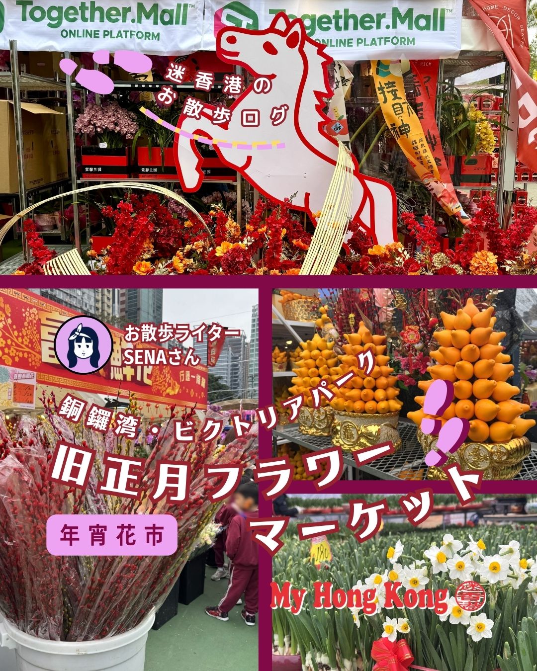 銅鑼湾・ビクトリアパークで開催中の旧正月フラワーマーケットへ行ってきました🌸✨
約400店が並ぶ史上最大規模で、胡蝶蘭や桃の花、金柑など華やかな花がずらり。食べ物や雑貨の屋台もあって歩くだけで楽しい空間です🎍
https://my-hkg.com/osanpo-log-09-flower-market-victoria-park-2026/
新年のお花を選ぶのにもぴったり。開催は2/17早朝まで!
#HongKong #香港 #MyHongKong #迷香港 #香港ライフ