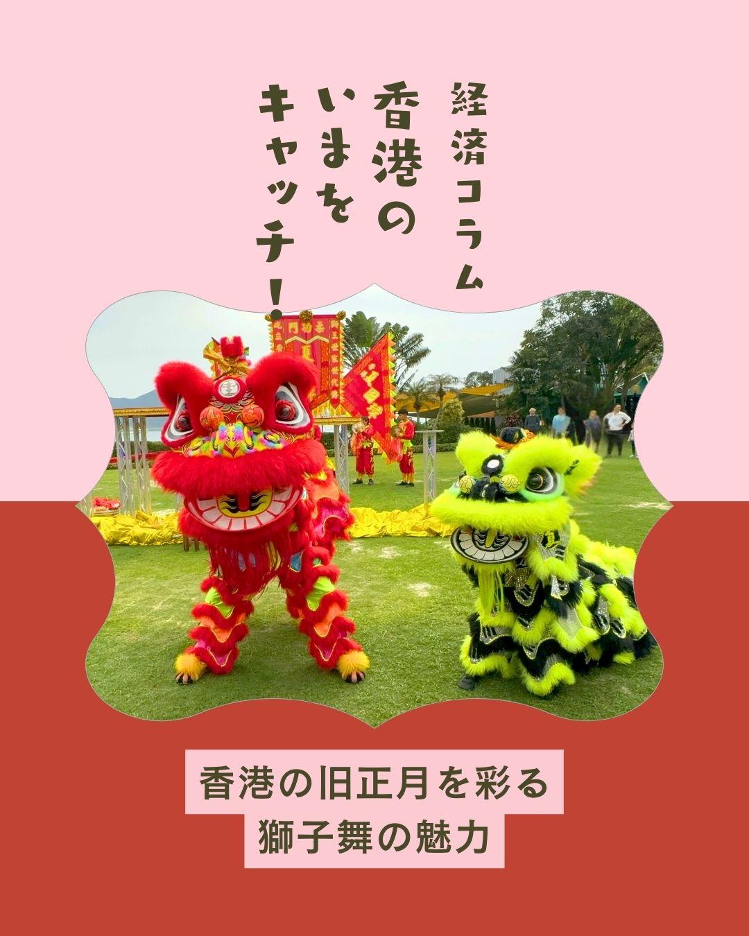 香港は旧正月ムード全開🧧✨
街中で太鼓が響き、南獅子の獅子舞があちこちに登場!
武術道場が担う力強い動きや、感情豊かな表現は必見🦁🔥
高い柱を飛び移る「梅花椿」は圧巻。
レタスを噛む「採青」は金運アップの縁起儀式💰✨
お囃子が聞こえたら、ぜひ近くで本物の獅子舞を体感してみて。
詳しくはMy Hong Kong で👉 https://my-hkg.com/
#HongKong #香港 #MyHongKong #迷香港 #香港ライフ