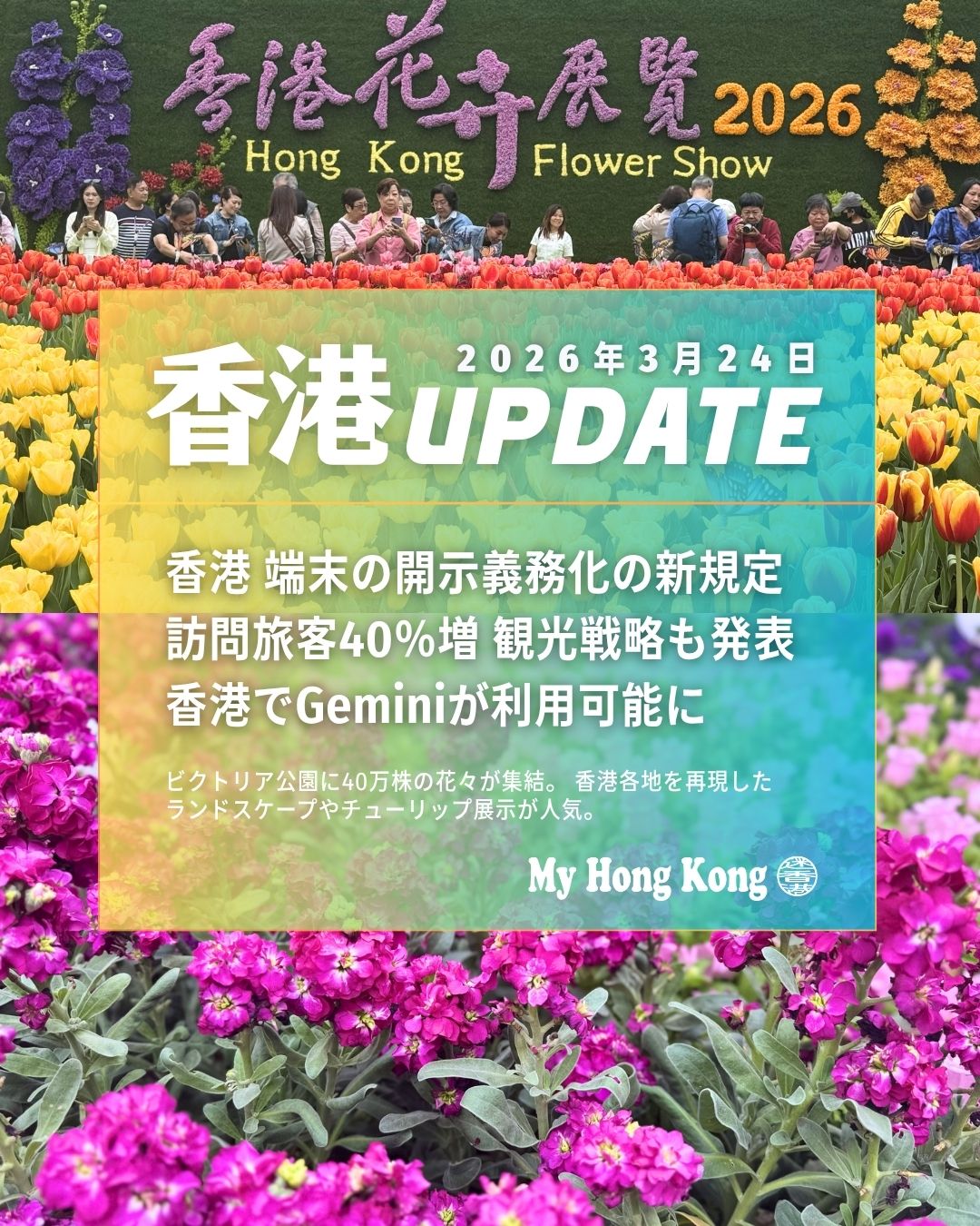 🇭🇰【香港UPDATE|2026年3月24日】
香港の最新ニュースをまとめてお届けします✨
詳しくは 👉 https://my-hkg.com/
🔐 1|端末開示義務化の新規定
国家安全維持法の実施細則が改正され、捜査対象者は端末パスワードの提供が義務化されました。拒否には罰則も適用されます。
✈️ 2|訪問旅客が前年比40%増
2月の訪港者数が大幅増。中国本土に加え、日本・東南アジアからも回復が進み、観光需要が急速に戻っています。
🏨 3|観光局が2026年重点施策を発表
「多様な市場投資」「高付加価値客の誘致」「業界連携強化」を掲げ、観光の質向上を目指す方針です。
一方で混雑・物価高・人手不足など課題も浮上。
🤖 4|Geminiが香港で全面利用可能に
Googleの生成AI「Gemini」がVPN不要で利用可能に。
テキスト・画像・音声を横断処理できるマルチモーダルAIが香港でも本格展開へ。
🚌 5|二元優恵計画が「2ドル→2ドルor2割」に
4月3日から長者・障害者向け運賃優恵が改定。
大人運賃10ドル以下は2ドル、10ドル超は2割負担に。
📊 例:改定後の支払額
・8HKD → 2HKD
・12HKD → 2.4HKD
・20HKD → 4HKD
🌸 6|香港フラワーショー開幕
ビクトリア公園に40万株の花々が集結。
香港各地を再現したランドスケープやチューリップ展示が人気。3月29日まで開催中。
📌 香港の最新情報は随時更新中!
👉 https://my-hkg.com/