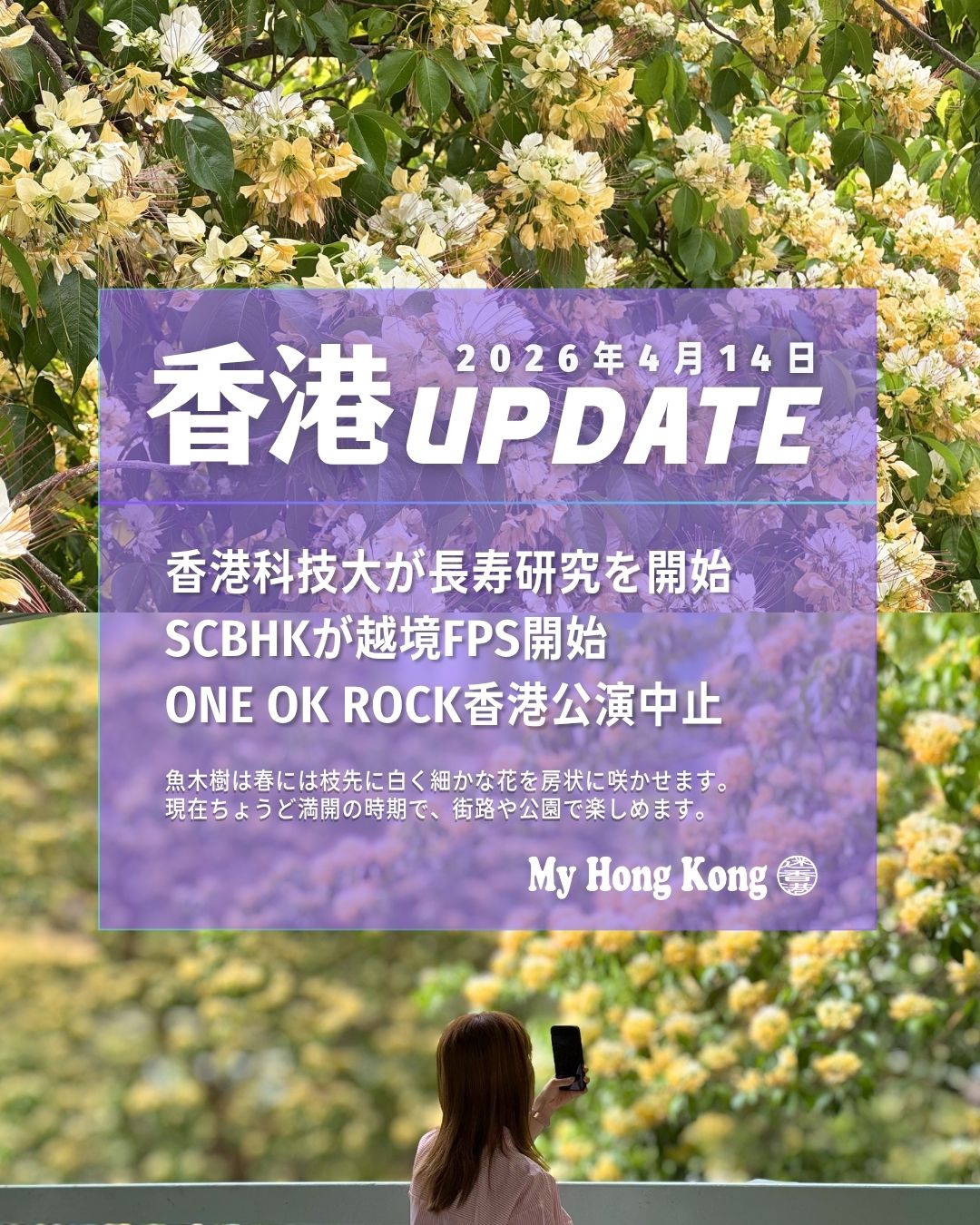 📣【 #香港UPDATE |2026年4月14日】
最新の香港ニュースをまとめてお届けします✨
🔬 香港科技大が長寿研究を開始
90歳以上500人を対象に、AIで健康長寿の仕組みを解析。
💸 SCBHKが越境FPS開始
海外→香港の送金がHKD/CNYで即時処理に対応。
🎤 ONE OK ROCK 香港公演が中止
5月2・3日の公演が「予期せぬ事態」で中止。上海公演も3月に中止発表。
🏠 細分化住宅の登録申請が急増
制度開始1か月で5,557戸が申請。基準未達の賃貸は起訴対象に。
🌸 魚木花が満開
白〜淡クリーム色の花が街路を彩り、晩春の風物詩に。
📌 詳しくはこちら
👉 https://myhkg.com/
#HongKong #香港 #MyHongKong #迷香港 #香港ライフ