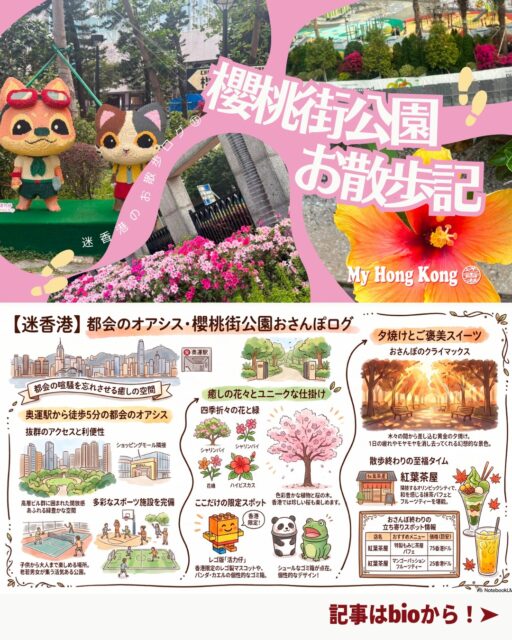 ひとり時間がもっと好きになる——櫻桃街公園で見つけた“香港のやさしい夕暮れ”🌇✨
奥運駅近くの縦長でユニークな公園を歩けば、花の色、風の音、夕日のグラデーション…思わず続きを読みたくなる癒しの景色が広がっていました🌿💛
🌸 櫻桃街公園のおさんぽログ
奥運駅から徒歩5分
犬の散歩コースのような道でワンコにたくさん遭遇🐶
・縦長で広い園内
テニス・バスケ・サッカーまで揃うスポーツ天国!
・カラフルな花々
ハイビスカスや季節の花が咲き誇り、写真が止まらない📷
・レゴの活力くん
香港で唯一“常設展示”されているレゴ活力くんたちが可愛い🧱
・夕焼けの魔法
木々の隙間から差し込む光が、悩みもモヤモヤもふっと軽くしてくれる
・お散歩後のご褒美
もみじ茶屋のパフェ(75HKD)とマンゴーパッションティー(25HKD)で幸せチャージ🍨✨
👉 この続きや香港生活情報は My Hong Kongホームページにて公開中!
https://my-hkg.com/
🔗 Bioにもリンクがあります♪
#HongKong #香港 #MyHongKong #迷香港 #香港ライフ