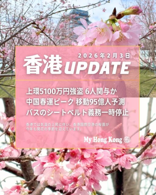 【 #香港UPDATE｜2026年2月3日 】
■上環5100万円強盗
日本人3人を含む6人が逮捕され、内部協力者の疑いも浮上。日本で相次ぐ現金強盗との関連も捜査が続いています。
■中国本土の春運ピークへ
旧正月に向けた大移動が本格化。移動総数は過去最大の95億回に達する見込みで、鉄道・航空ともに記録更新が予測されています。
■バスのシートベルト義務が一時停止
新条例に技術的欠陥が見つかり、運用を中断。政府は制度の見直しと最適化を進める方針です。
■週末は再び冷え込み
金曜は24℃まで上昇する一方、週末には北東モンスーンで気温が10℃近く急降下。体調管理に注意が必要です。
■香港国際空港の桜がまもなく見頃
桜園は160本に拡張され、バレンタイン前の1週間が最も美しい時期に。東涌駅からの新ルート開通でアクセスも向上しています。

https://my-hkg.com/hkupdate_260203/

#HongKong #香港 #MyHongKong #迷香港 #香港ライフ