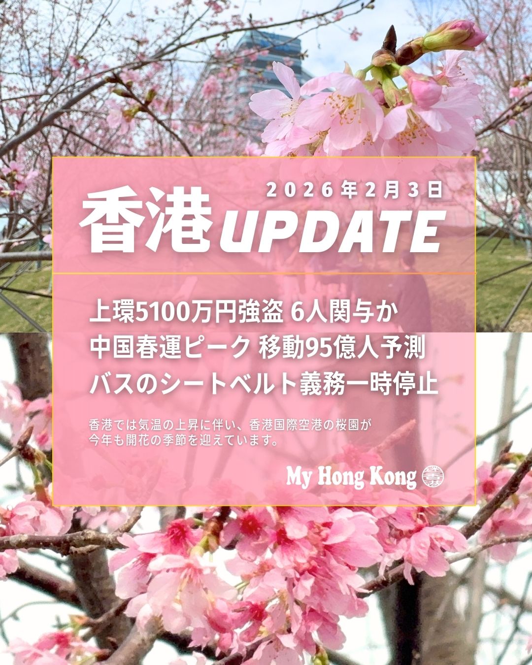 【 #香港UPDATE｜2026年2月3日 】
■上環5100万円強盗
日本人3人を含む6人が逮捕され、内部協力者の疑いも浮上。日本で相次ぐ現金強盗との関連も捜査が続いています。
■中国本土の春運ピークへ
旧正月に向けた大移動が本格化。移動総数は過去最大の95億回に達する見込みで、鉄道・航空ともに記録更新が予測されています。
■バスのシートベルト義務が一時停止
新条例に技術的欠陥が見つかり、運用を中断。政府は制度の見直しと最適化を進める方針です。
■週末は再び冷え込み
金曜は24℃まで上昇する一方、週末には北東モンスーンで気温が10℃近く急降下。体調管理に注意が必要です。
■香港国際空港の桜がまもなく見頃
桜園は160本に拡張され、バレンタイン前の1週間が最も美しい時期に。東涌駅からの新ルート開通でアクセスも向上しています。

https://my-hkg.com/hkupdate_260203/

#HongKong #香港 #MyHongKong #迷香港 #香港ライフ