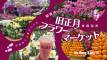 【迷香港のお散歩ログ】銅鑼湾ビクトリアパーク・旧正月フラワーマーケットに行ってみた