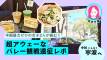 【中編】中国語力ゼロの女子2人が挑む！超アウェーなバレー観戦遠征レポ＠寧波〜街歩き編〜